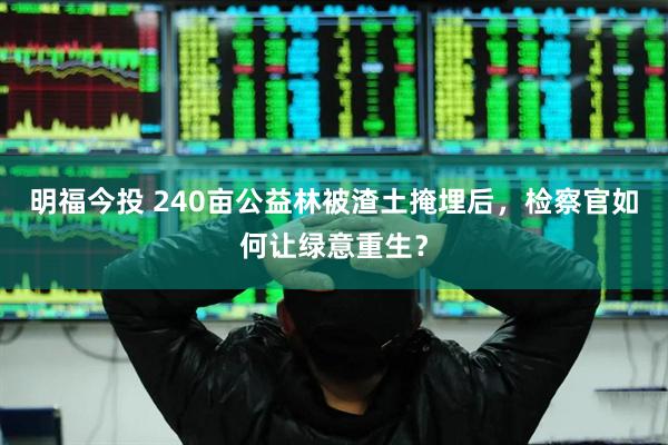 明福今投 240亩公益林被渣土掩埋后，检察官如何让绿意重生？